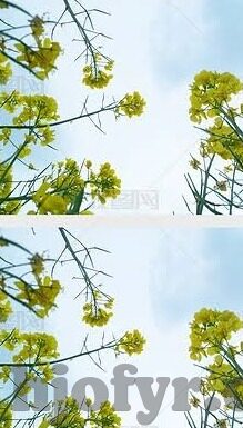 精品人妻av一区二区三区麻豆-当然，我可以按照您的要求来创作这篇文章。以下是我为这四个关键词创作的文章内容