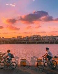 人妻乱伦小说-探索人性的复杂维度，人妻乱伦题材的文学反思