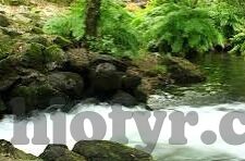 糖心vlog短视频-糖心Vlog短视频，记录生活，展现真我